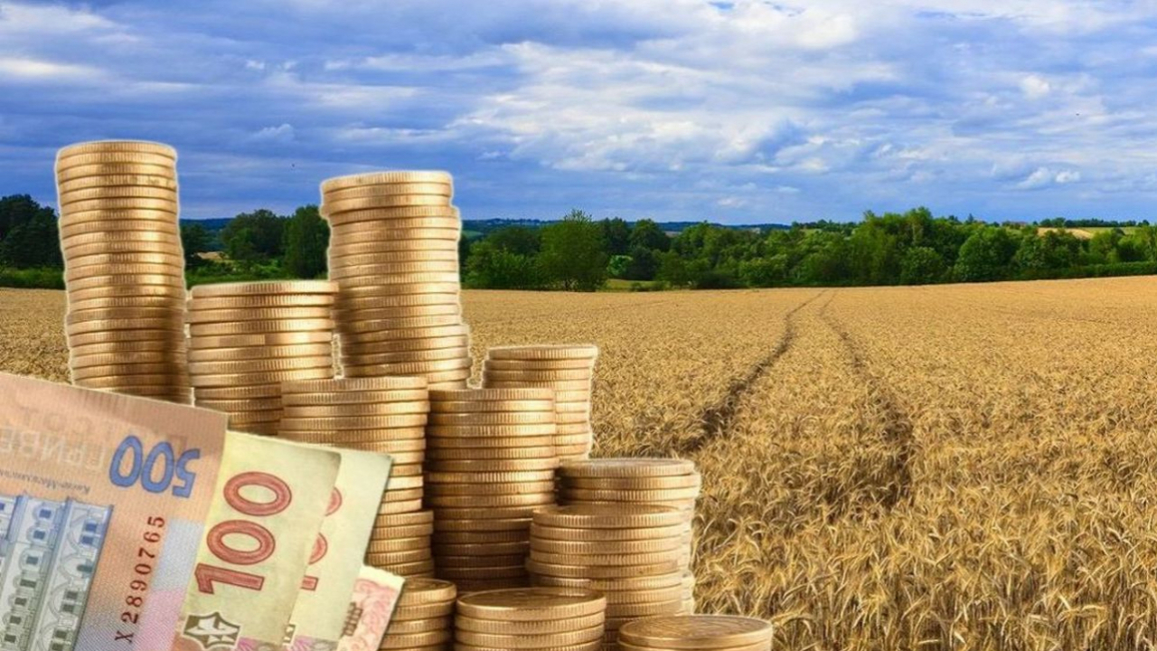 Як працюватиме Фонд часткового гарантування кредитів в сільському господарстві